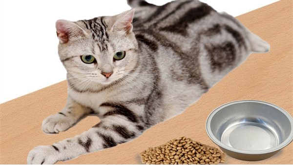 宠物粮食品铝箔盒包装